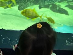-苏州海洋馆