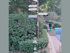 -北岭山森林公园