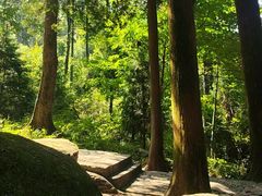 -庐山风景区花径公园