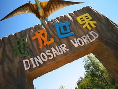 -亿利库布其七星湖沙漠生态旅游区