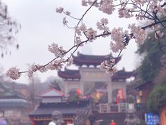 -鸡鸣赐茶(鸡鸣寺路店)