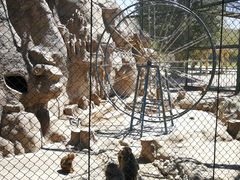 -新疆天山野生动物园