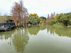 -海珠湖公园