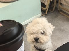 -Fulu Coffee福禄(花园城店)