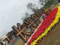 -上海长兴岛郊野公园