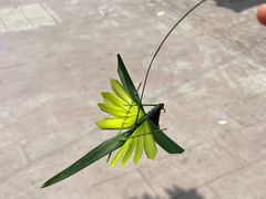 -海窝子古镇