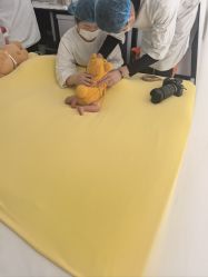 点击看大图 -玛瑞莎孕婴童摄影到家拍