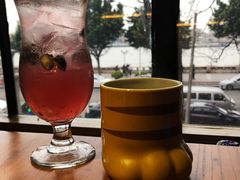 -more than meow吴止猫主题餐厅(承德 中船汇店)