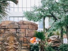 -悦隆庄温泉度假酒店