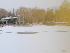 -金城公园