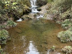 -龙苍沟森林公园