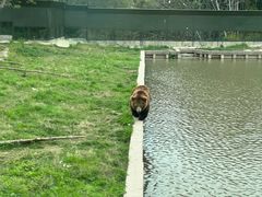 -上海野生动物园