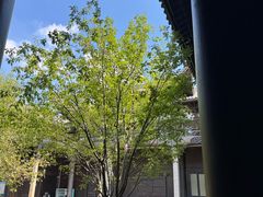 -八大山人梅湖景区