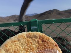 -新疆天山野生动物园