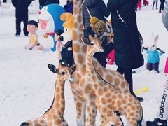 -紫竹院公园冰场