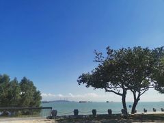 -大湾区中央湿地公园