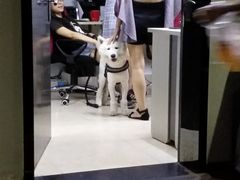-蚝美人·生蚝海鲜烧烤(茶花园店)