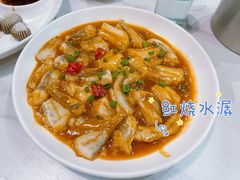 -新楚记