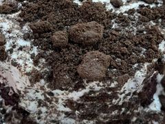 -金凤成祥(五棵松二店)