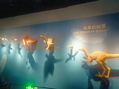 -自贡恐龙博物馆