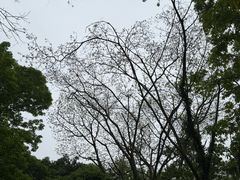 -法云安缦酒店