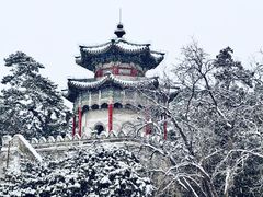 -颐和园