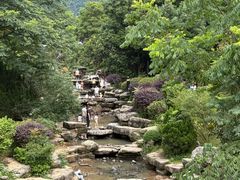 -桃花岭景区