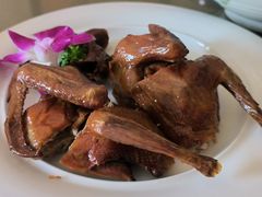 红烧乳鸽-沙龙酒家