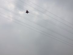 -古柏渡飞黄旅游区