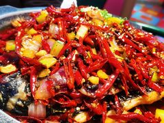 -南锣肥猫·麻辣烤鱼·15年现烤现卖(通州领展店)