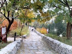 -阳台山自然风景区