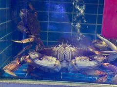 -金海湾海鲜排档(朱家尖店)