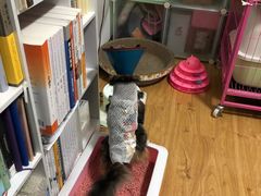 -联合动物医院(光谷诊疗中心)