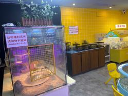 -神奇动物撸宠馆·羊驼·小浣熊·异宠(豫园店)