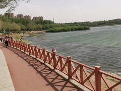 -丁香湖公园