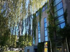 -卓悦童国际幼儿园