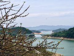 -广州市流溪河国家森林公园