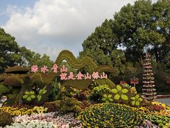 -南山植物园