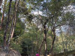 -广州市石门国家森林公园