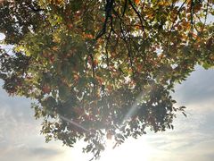 -杭州湖滨银泰in77