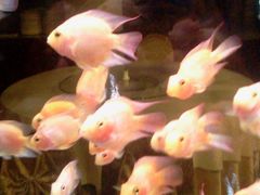 走廊附近-北京邮电会议中心