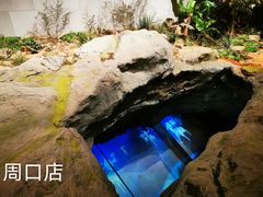 -周口店北京人遗址公园