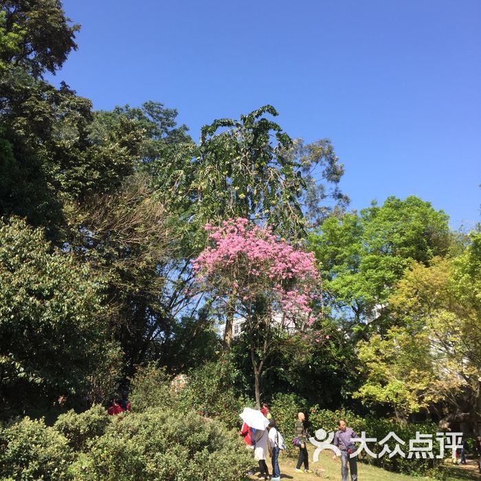 中國科學院華南植物園