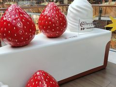 -The Cheesecake Factory芝乐坊餐厅(王府中环东座店)