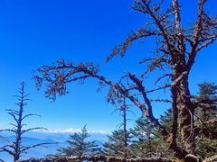 -峨眉山风景名胜区