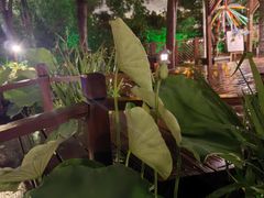 -花锦堂·隐庐
