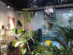 -F.Story 花和故事(新天地店)
