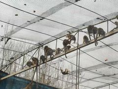 -秦皇岛野生动物园