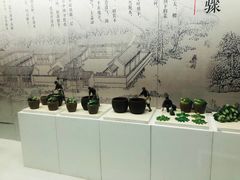 -鄞州雪菜博物馆