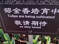 -翠湖公园